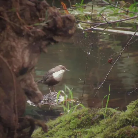 بيت للعطل Moulin Du 17 Eme 3 Etoiles A 10 Min De Brantome En Perigord